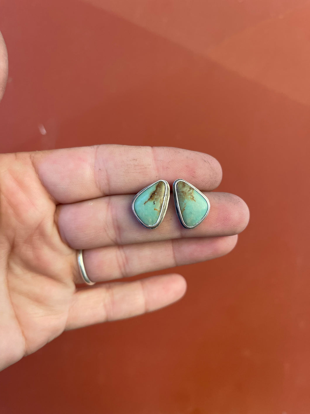 Laney-Royston Turquoise Earrings
