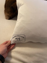 Cow Camp Pillow Case-Longhorn